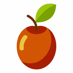 vector illustration of a jujube