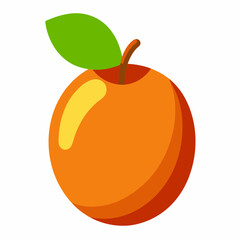 vector illustration of a jujube