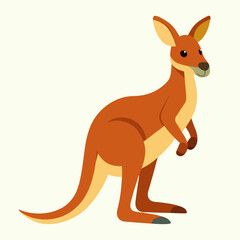 kangaroo vector illustration