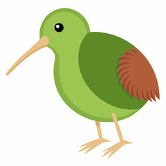 kiwi bird vector ilustration