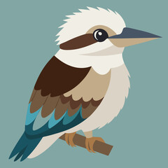 vector illustration of a kookaburra