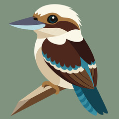 vector illustration of a kookaburra bird