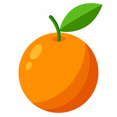 vector illustration of kumquat fruit