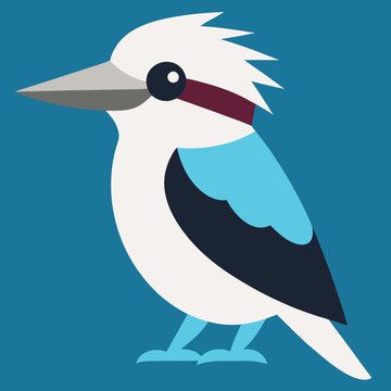 kookaburra vector illustration