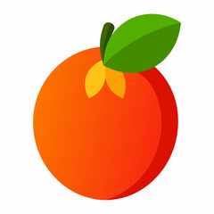 vector illustration of a langsat