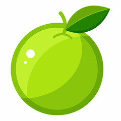 vector illustration of a lime
