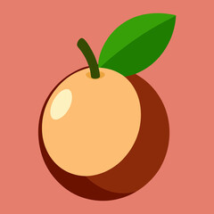 illustration of a longan