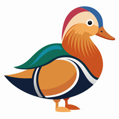 illustration of a mandarin duck