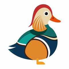 mandarin duck isolated on white