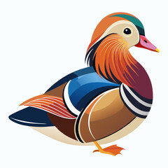 vector illustration of a mandarin duck