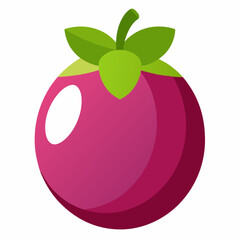 vector illustration of a mangosteen