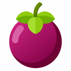mangosteen vector illustration