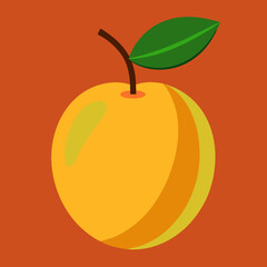 vector illustration of a marula