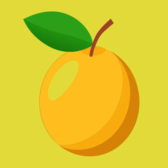 vector illustration of a marula