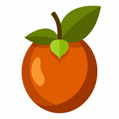 medlar fruit vector illustration