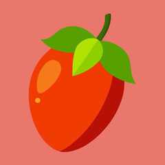 vector illustration of a miracle fruit