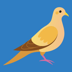 vector illustration of a mourning dove