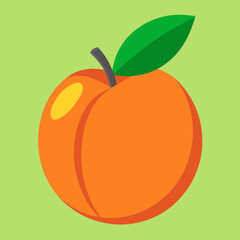 vector illustration of a nectarine