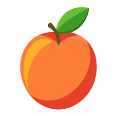 vector illustration of a nectarine