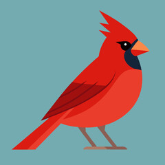 vector illustration of a red cardinal © UtsoMondal