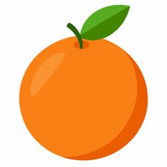 orange fruit vector illustration