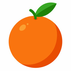 vector illustration of an orange