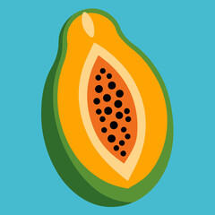 vector illustration of papaya
