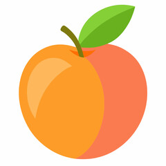 peach fruit vector illustration