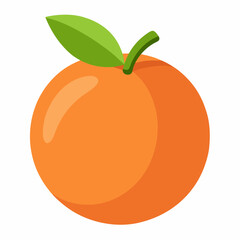 peach fruit vector illustration