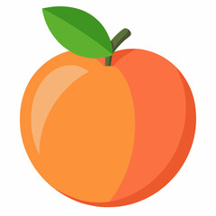 peach fruit vector illustration
