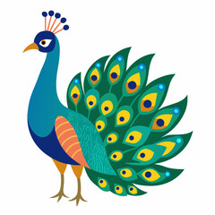 peacock vector illustration