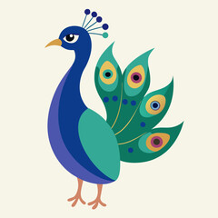 peacock vector illustration