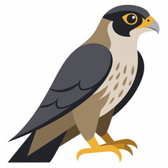 peregrine  falcon cartoon isolated on white