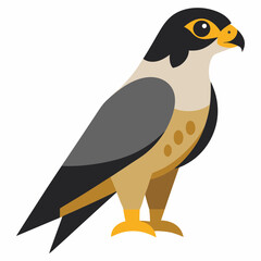 peregrine  falcon cartoon isolated on white