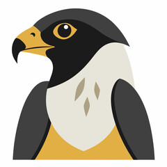 peregrine  falcon cartoon isolated on white