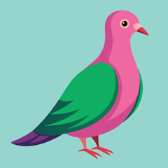 vector illustration of a pigeon bird