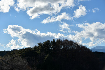 青空に浮かぶ雲と木々