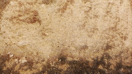 white chalk background, limestone hills, textured and slightly mossy
