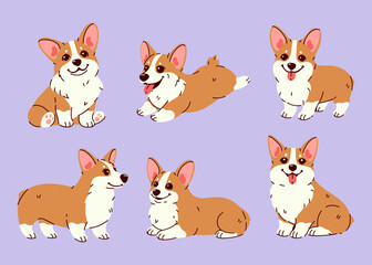 Naklejka premium Set of cute corgi dogs in different poses. Vector graphics