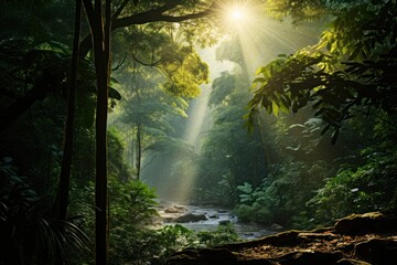 Beautiful green rainforest land vegetation landscape.