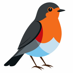 vector illustration of a  robin bird