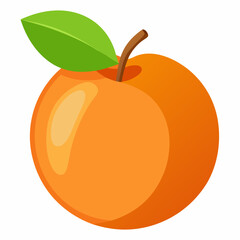 apricot isolated on white