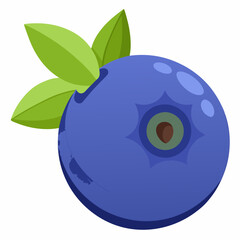 vector illustration of an blueberry