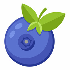 vector illustration of an blueberry