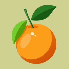 vector illustration of an calamansi