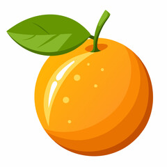 vector illustration of an calamansi