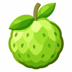 vector illustration of an cherimoya