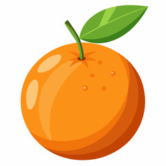 clementine fruit vector illustration