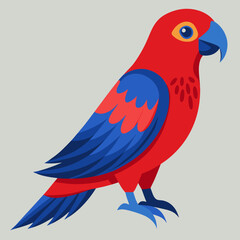 vector illustration of a crimson rosella