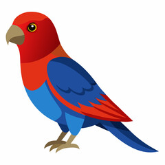 vector illustration of a crimson rosella